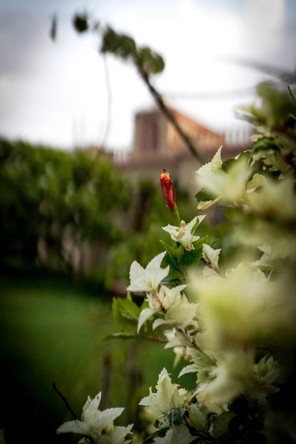 Mvt Guesthouse & Restaurant Vrindavan Luaran gambar